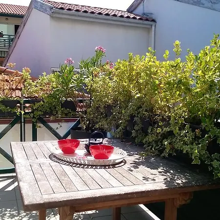 T3 Moderne Avec Terrasse Et Parking - Apartman